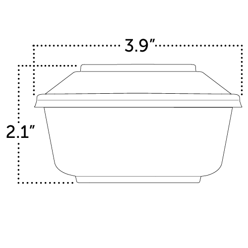 container with lid