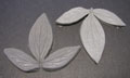 laburnum leaf press