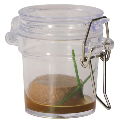 1.5oz Plastic Jar w/Metal Latch Lid from Chef Rubber
