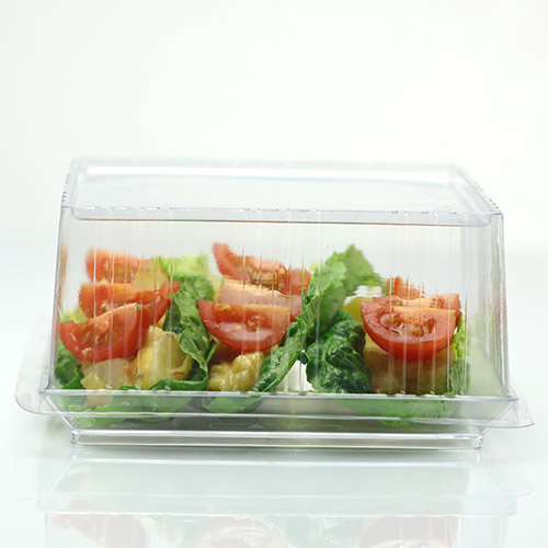 square plate w lid