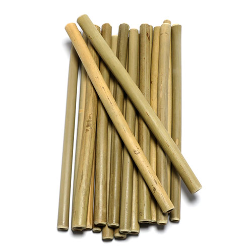 9in Bamboo Straw