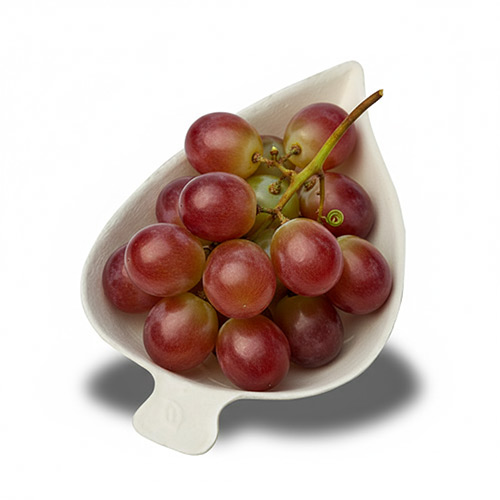 sugarcane leaf shape