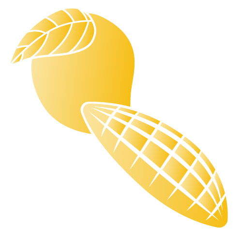 mango cocoa butter