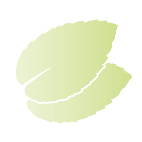 mint cocoa butter