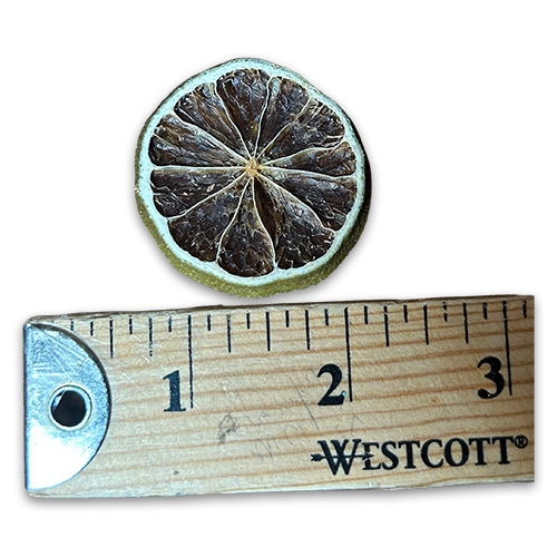 approx measurement