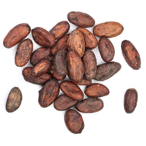 Belizean Cocoa Beans