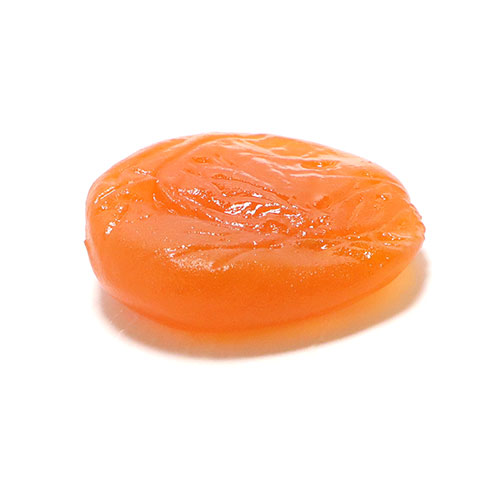 504600S