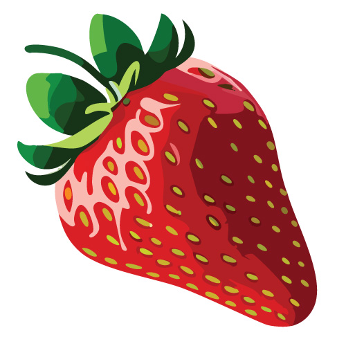 strawberry puree