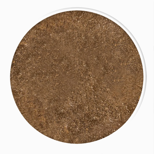 blackened onion powder