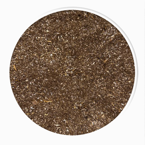 blackened garlic powder