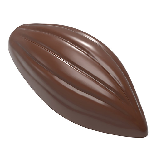 cocoa bean