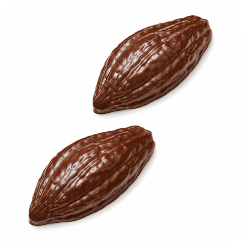 cacao pod mold