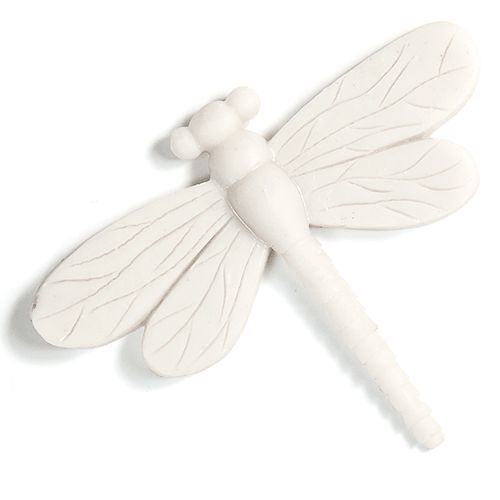 dragonfly mould