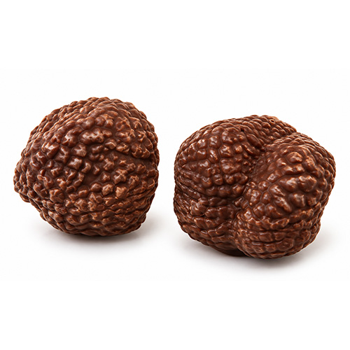 black truffle mould