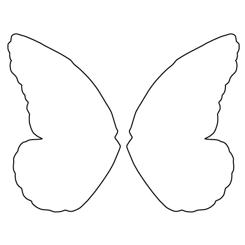 butterfly wings chablon