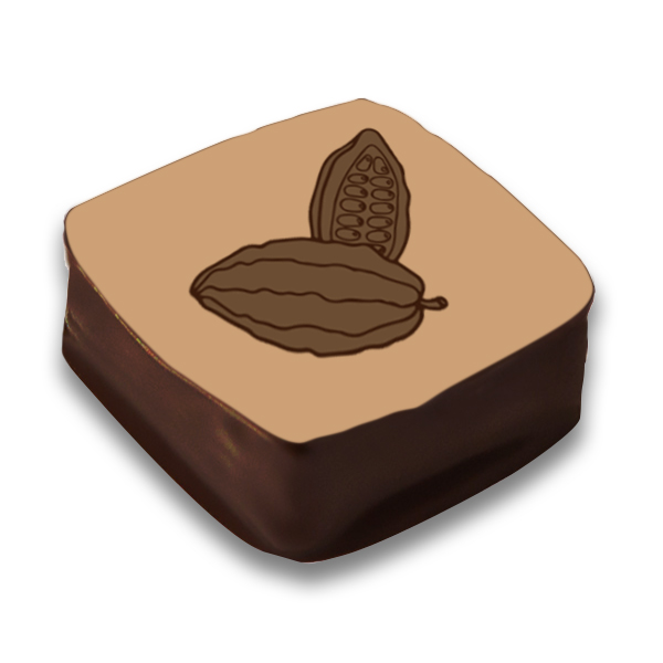 cacao pod