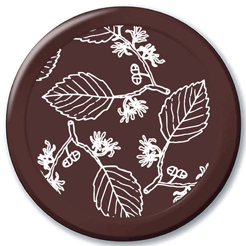 Winter Witch Hazel Transf